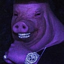 Smiling pig with jewelry in purple lighting.