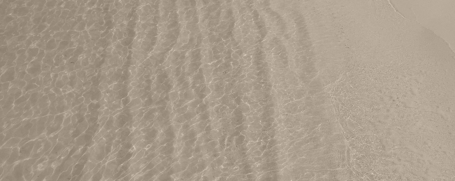 Gentle waves on sandy beach, sepia tone.