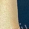 Textured surface with contrasting color sections